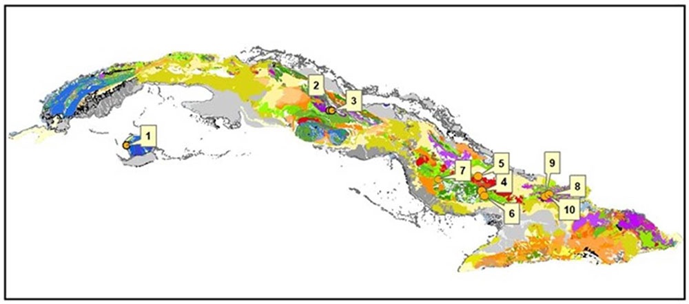 Ubicación y clasificación de los tipos mineralógicos de yacimientos patrones y prospectos*