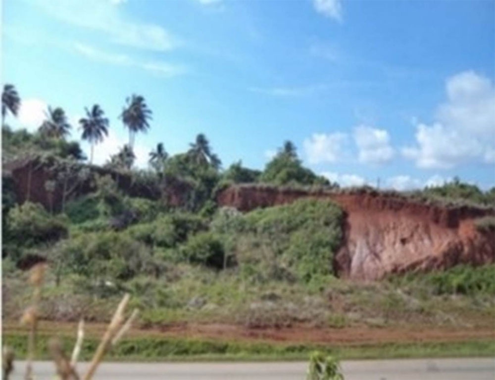 Imagen que muestra la regolita de gabro del sector “Centeno” en Moa (Omoa-a)
