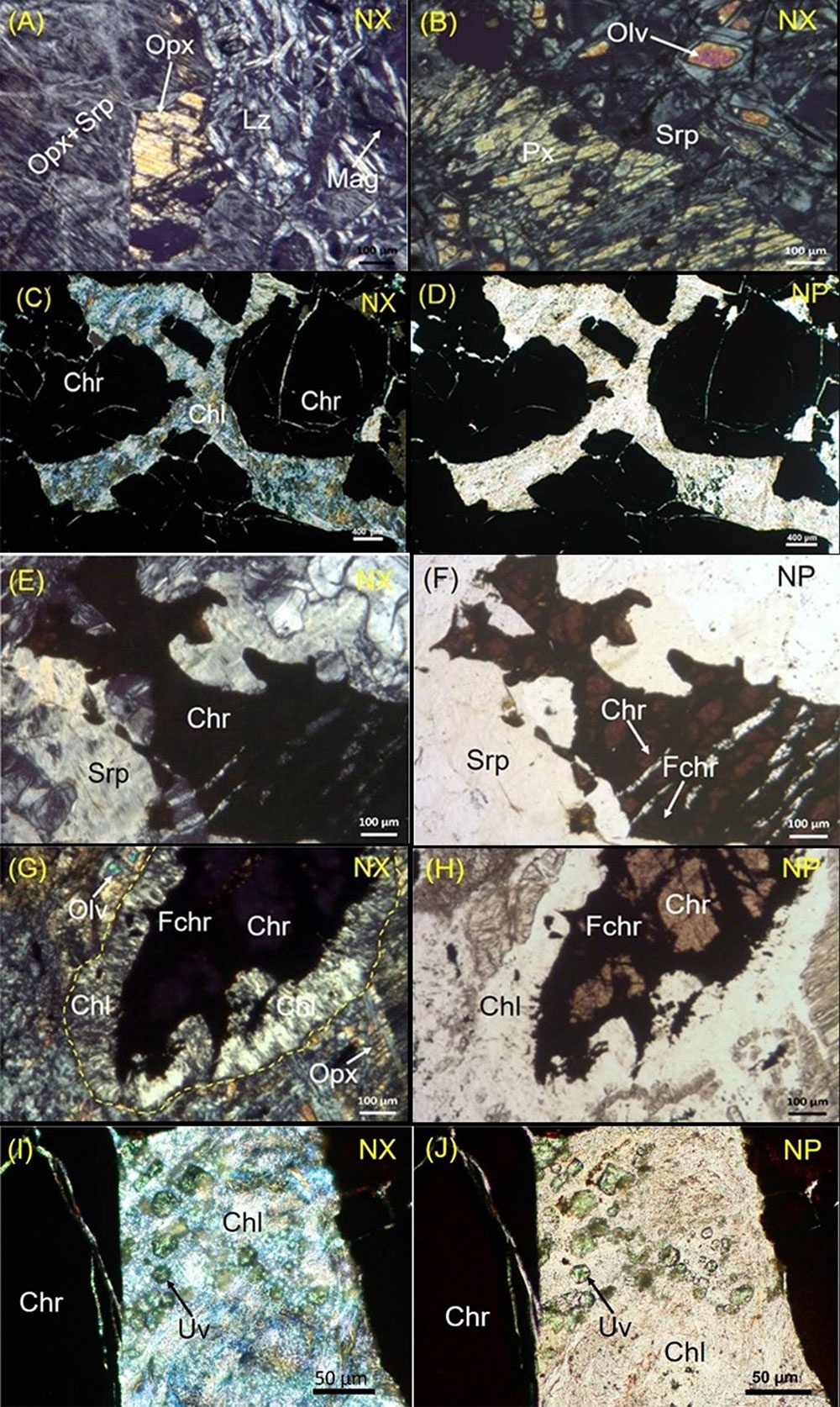 Fotomicrografías que muestran las principales características petrográficas de las cromitas y la asociación mineral hospedera.
