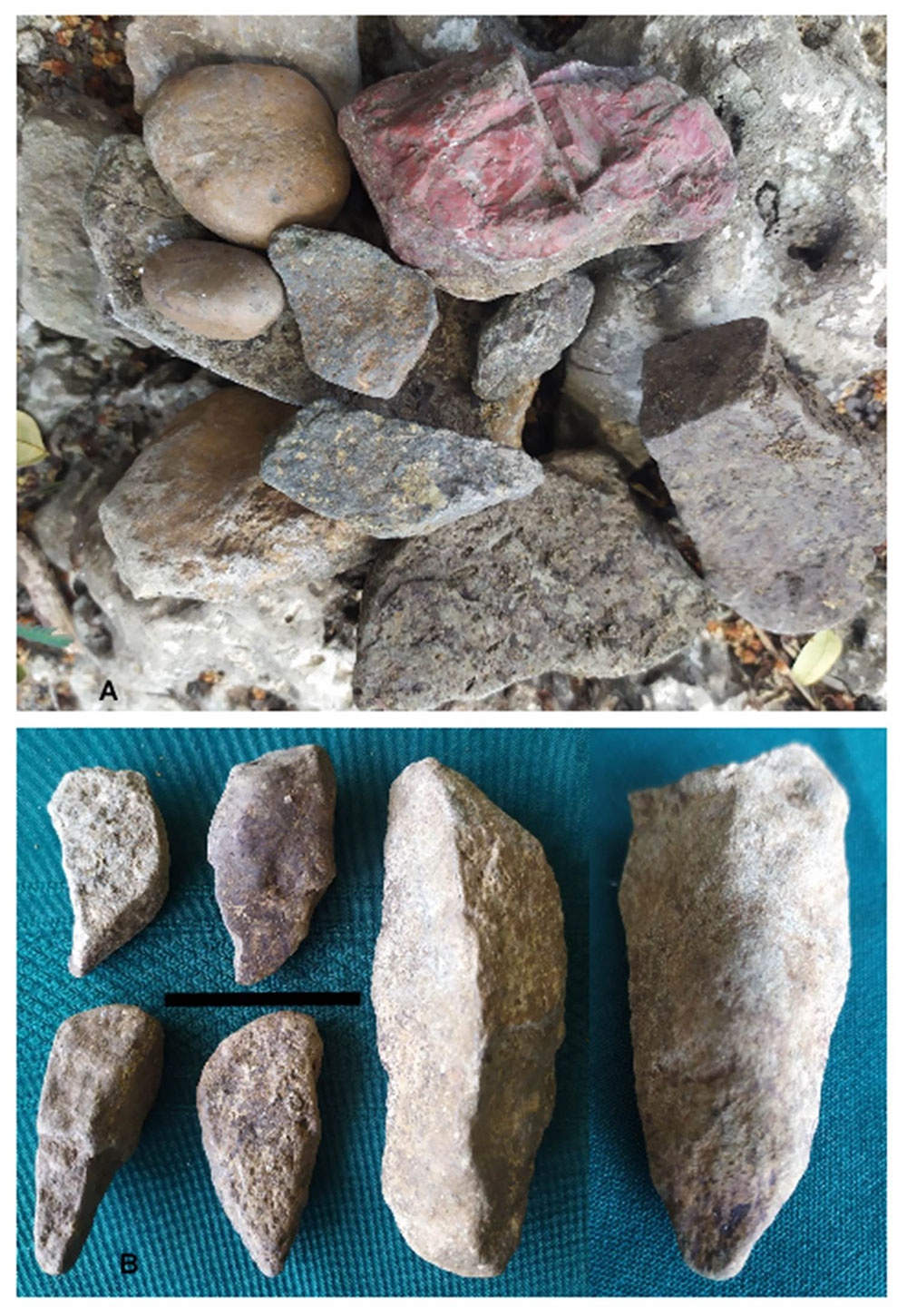 Litologías volcánicas más comunes en el sedimento aluvial en el área: cantos subangulosos de toba ácida-media, jaspe rojo y redondeado de calcedonia (A); fragmentos diversos, de rocas volcánicas (B). Barras negras: 4 cm.